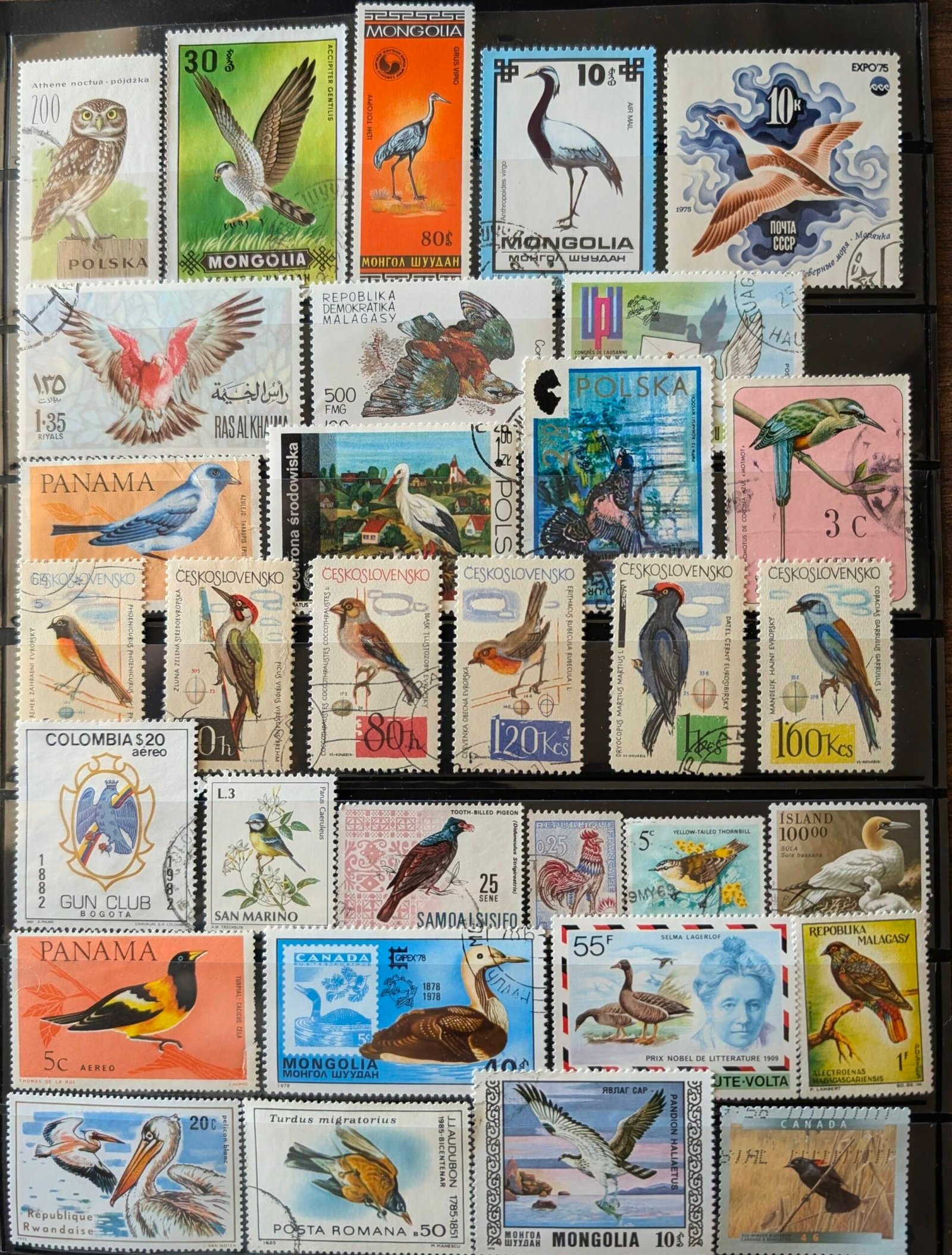 Birds Thematic Stamp Collection - Image 11