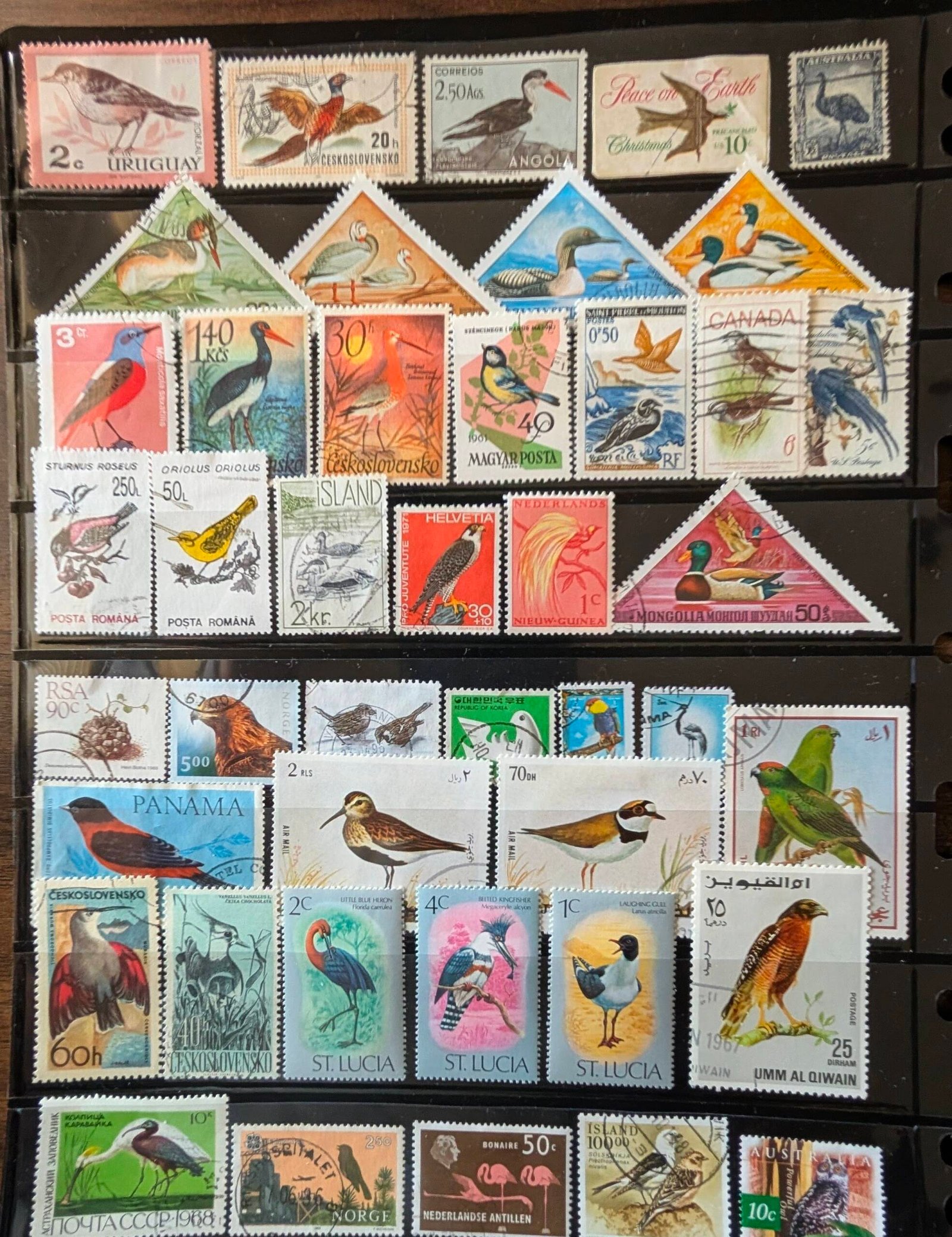 Birds Thematic Stamp Collection - Image 8