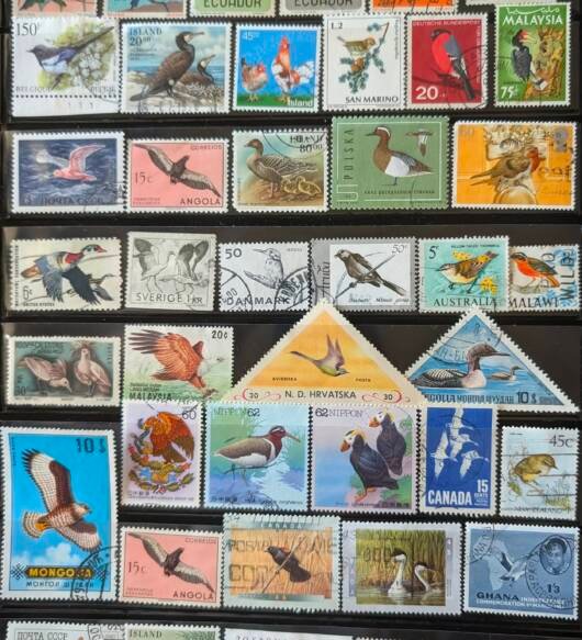 Birds Thematic Stamp Collection